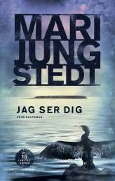 Jag ser dig av Mari Jungstedt